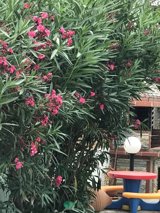 Maria Rooms Vrasna Luaran gambar